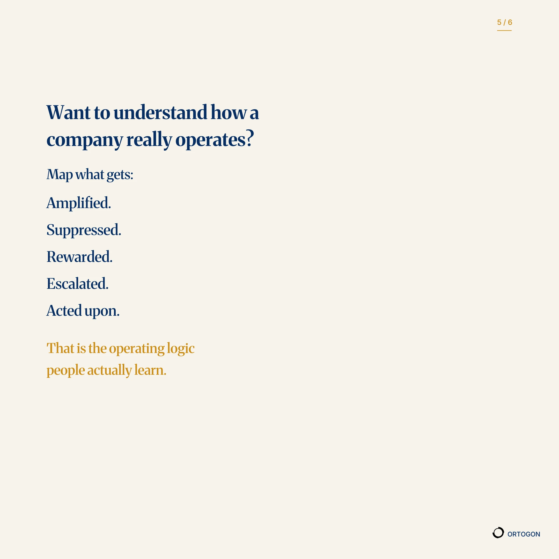 Cover of the carousel "A Company Is Already an Algorithm". (Page 5)