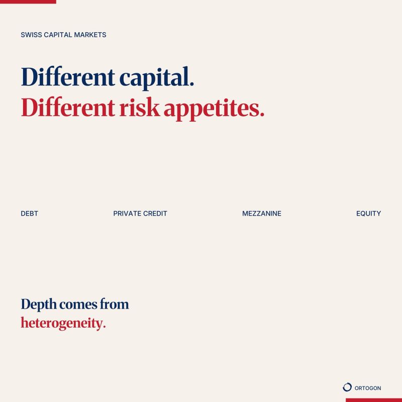 Graphic showing debt, private credit, mezzanine and equity as different risk appetites, with market depth arising from heterogeneity.